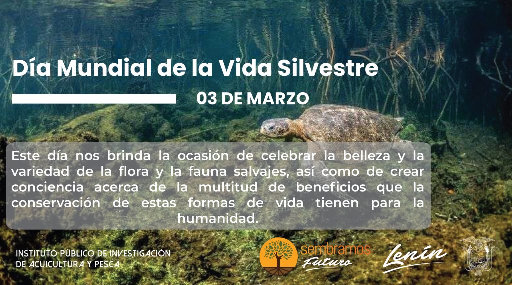 El Día Mundial de la Vida